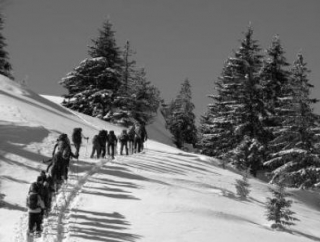  Excursión con raquetas de nieve 